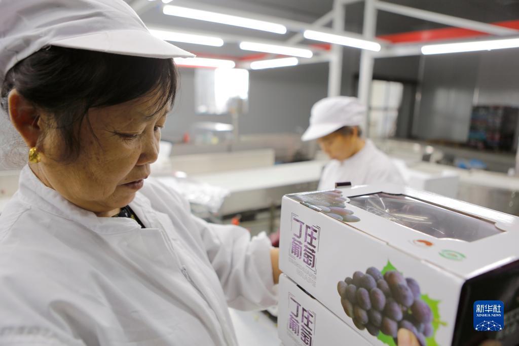 威尼斯欢乐娱人城官网7798